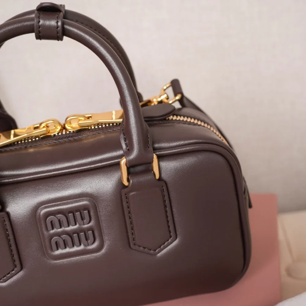 Miu Miu Arcadie leather bag